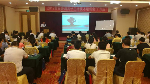 盛瀚十五周年暨2017離子色譜技術(shù)交流會(huì)(廣東站) 盛瀚十五周年暨2017離子色譜技術(shù)交流會(huì)(廣東站)